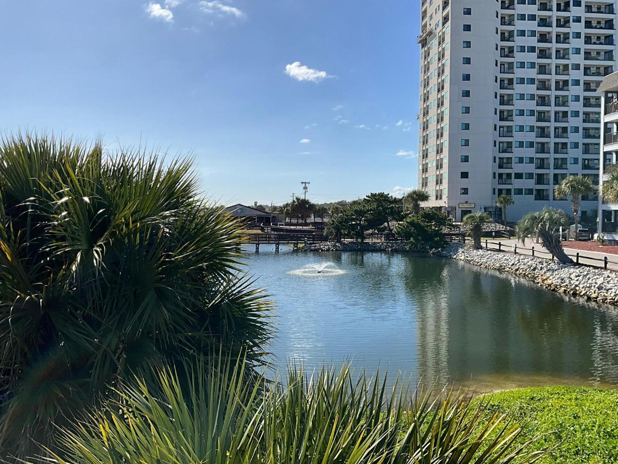 5905 S Kings Hwy, 4203 - Ocean Walk Sleeps 4 Villa Myrtle Beach Exterior foto